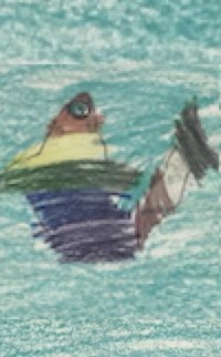 The fading fish